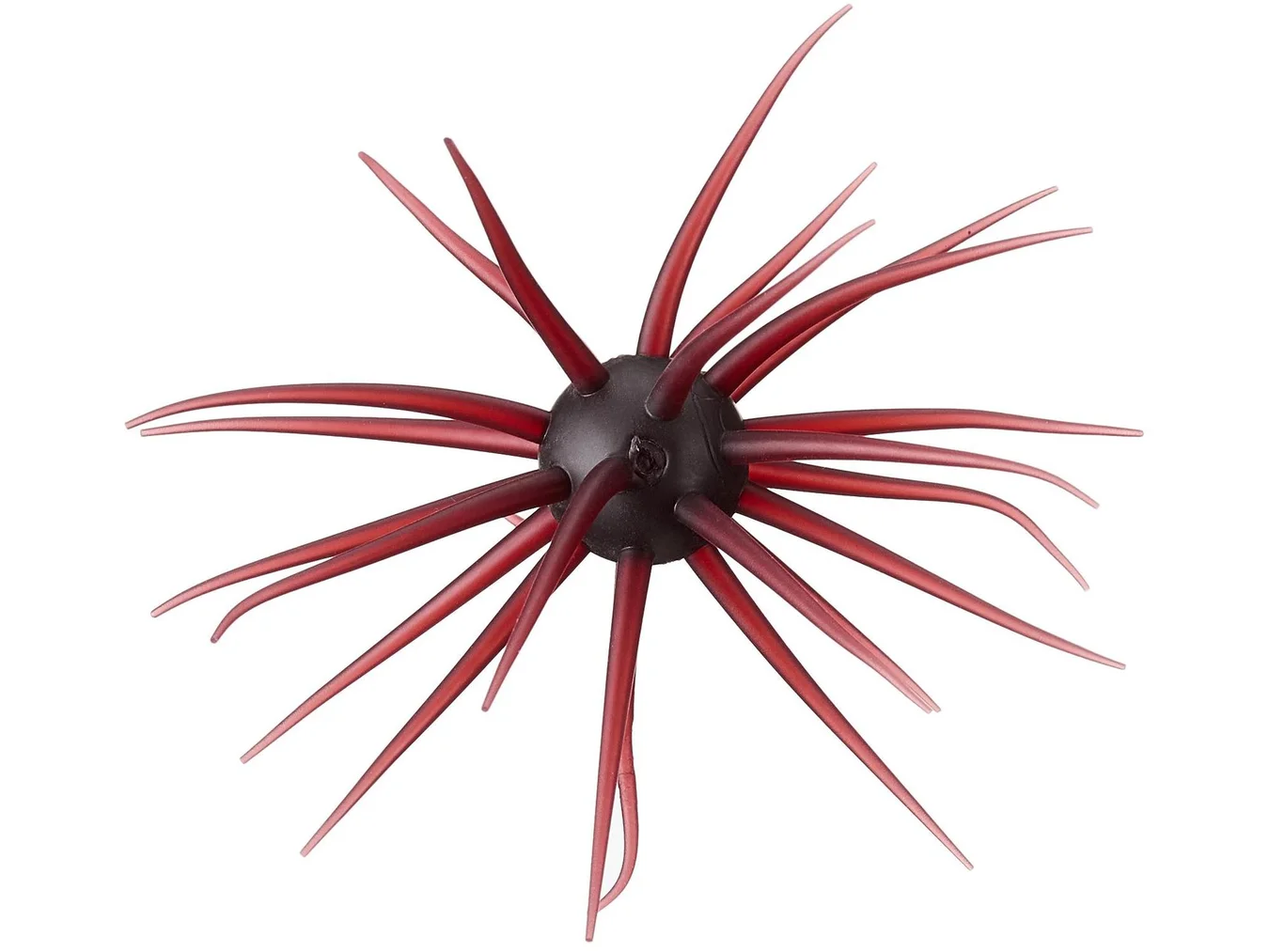 Coike (Urchin) Rig
