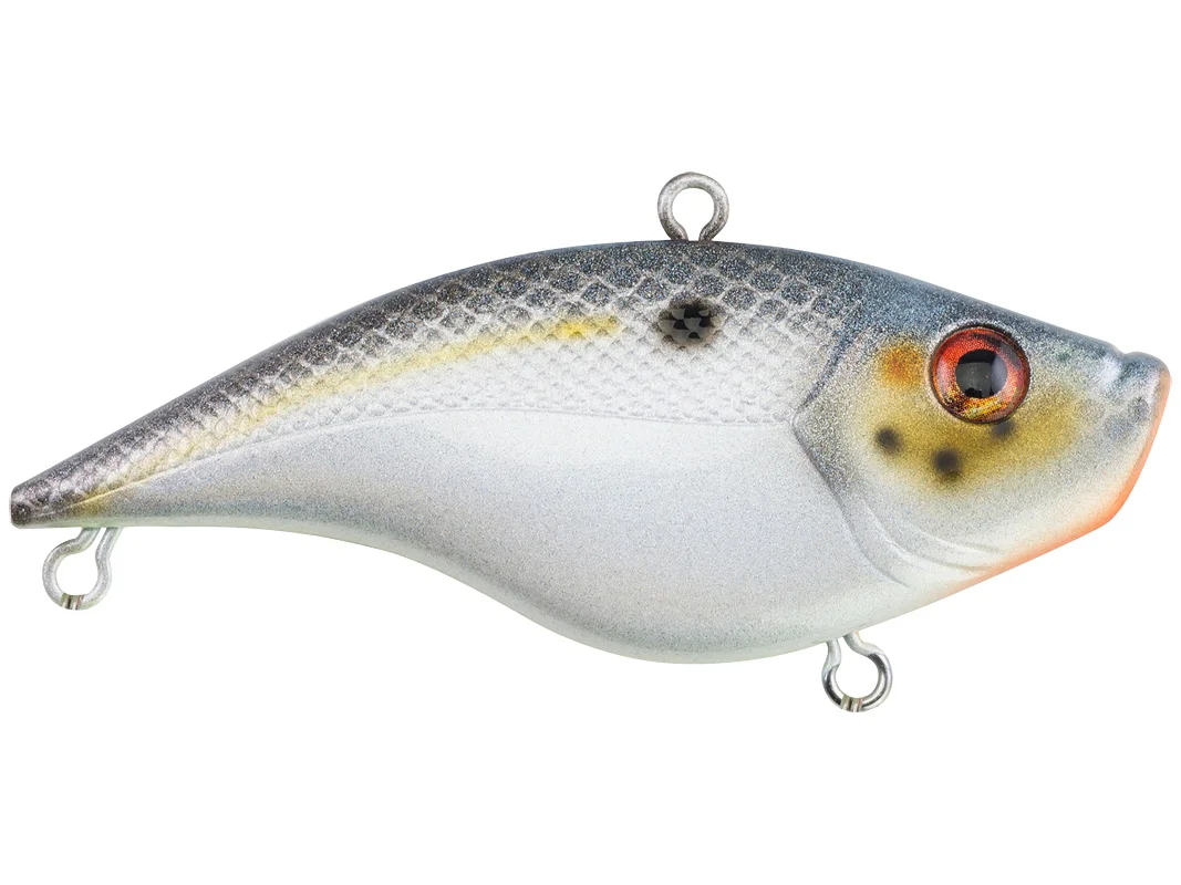 Berkley Warpig Sexier Shad · Ghost Red Craw · Ghost Morning Dawn · Black Silver