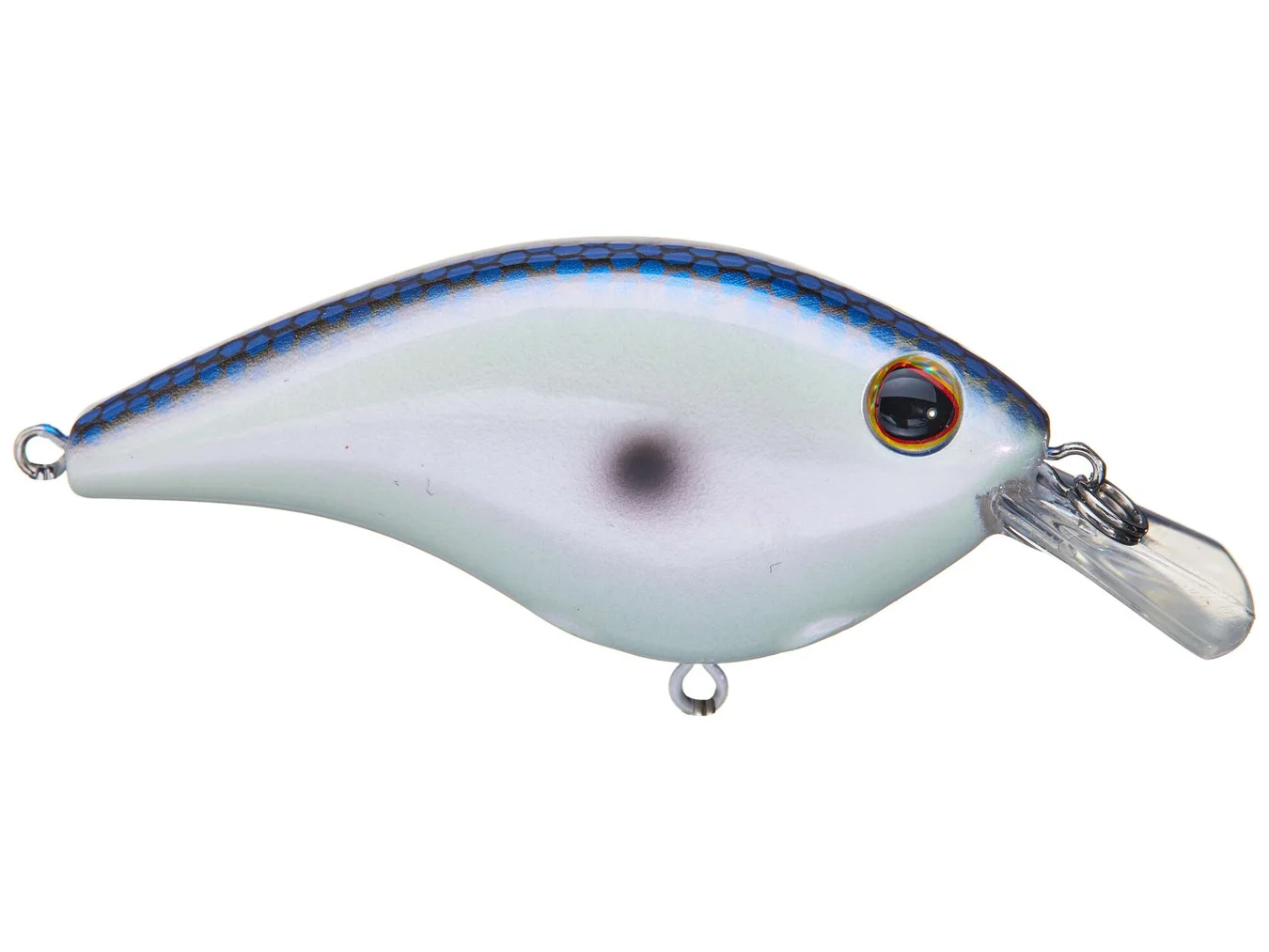Berkley Frittside 5 flat-side crankbait in Kentucky Blue