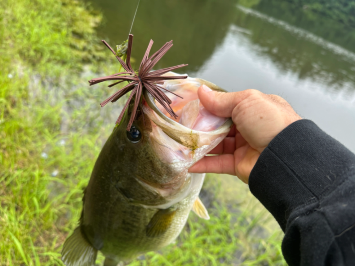 Missile Baits Ike's Dice Jig — urchin-profile jig with hand-tied skirt